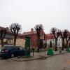 Rynek, Danusia