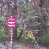 , glanaco