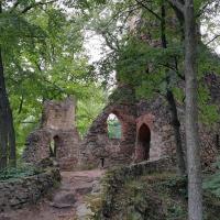 Stary Zamek, wienie
