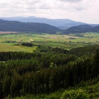 , kubarek23