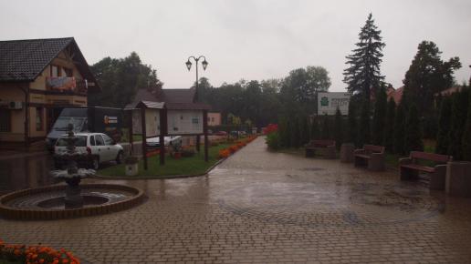 Horyniec - Zdrój, Tadeusz Walkowicz