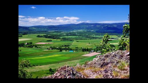 , kubarek23