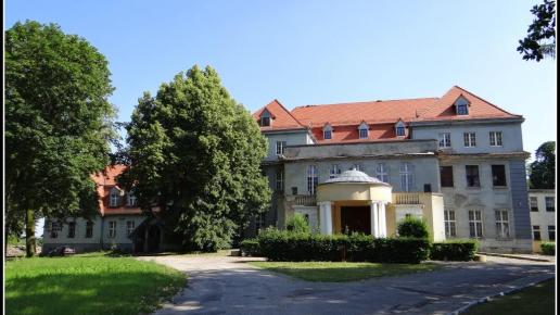 Pałac w Gronowie, Marcin_Henioo