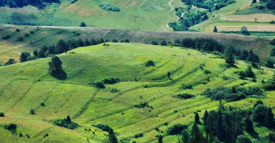 Samotnie poprzez Pieniny - Dzień IV - zdjęcie