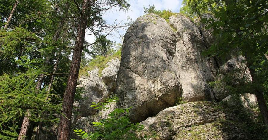Dolinki Podkrakowskie - Dolinka Brzoskwinki i Dolinka Aleksandrowicka - zdjęcie