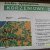 , mirosław