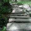 , Marcin