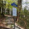 Park Zdrojowy i ścieżka na Góre Parkowa ta i kolejna fota, mokunka