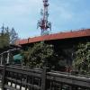 , mokunka