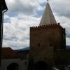, mokunka