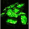 GMO: Green Marvellous Opulence, Marcin_Henioo