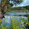 Cysterskie Kompozycje Krajobrazowe Rud Wielkich, Magdalena