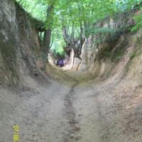 , mirosław