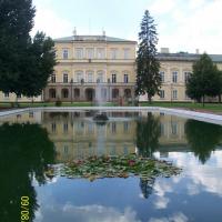 , mirosław