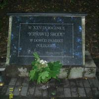 , mirosław