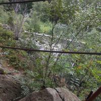 , mokunka