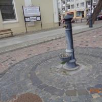 Rynek w Sztumie, Danusia
