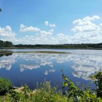 Cysterskie Kompozycje Krajobrazowe Rud Wielkich, Magdalena