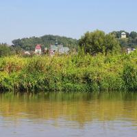 Pińczów nad Nidą