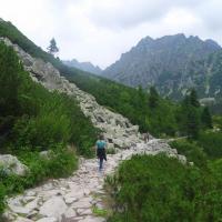 , Piotr Galas