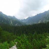 , Piotr Galas
