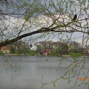 Jezioro Sztumskie w Sztumie