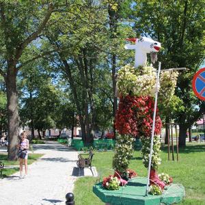 Pacanów