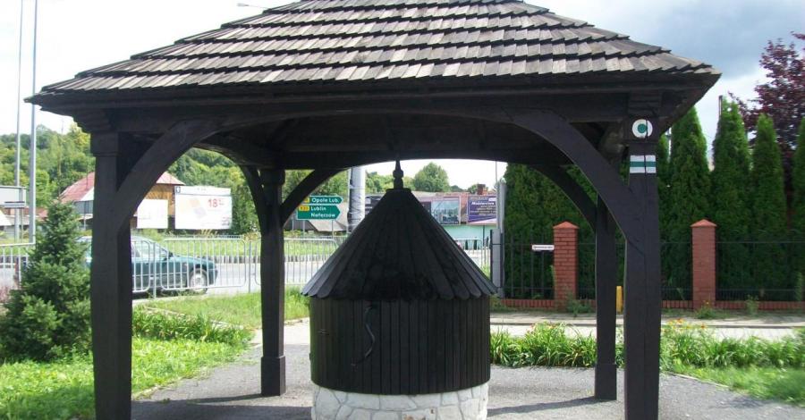 bochotnica - zdjęcie