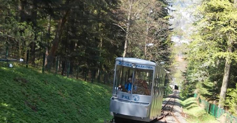 Góra Parkowa – ciekawe miejsce w Krynicy Zdroju - zdjęcie