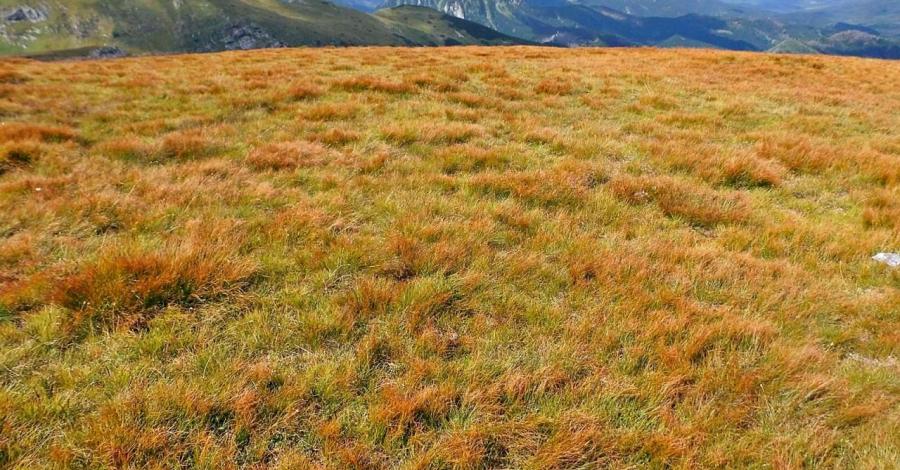 Tatry 2016: Nosal (1206),-Wielki Kopieniec (1328), Małołączniak (2096)-Kasprowy Wierch (1987) - zdjęcie