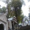 , mokunka