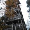 , mokunka