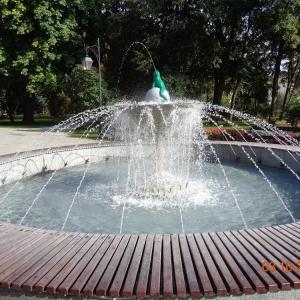 Fontanna z żabką w Ciechocinku