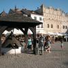 , Grazyna