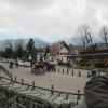 , marian