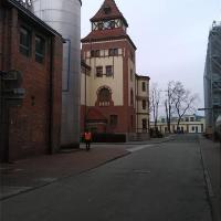 , marian