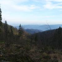 , Piotr Galas