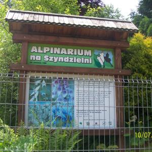 Alpinarium na Szyndzielni