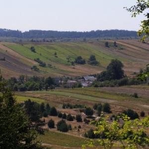 Bukowa Góra na Roztoczu