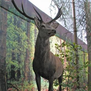 Muzeum Świętokrzyskiego Parku Narodowego