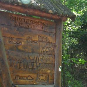 Ścieżka dydaktyczna na Bukową Górę