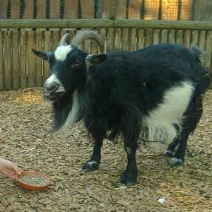 Zoo w Płocku