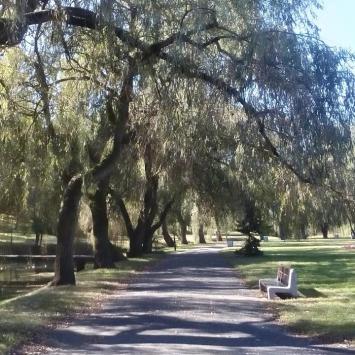 , szylana