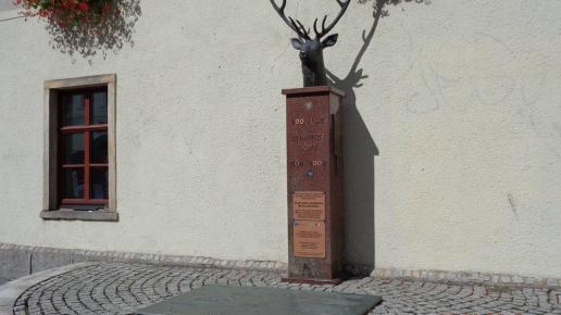 Głowa jelenia na Rynku, Danusia