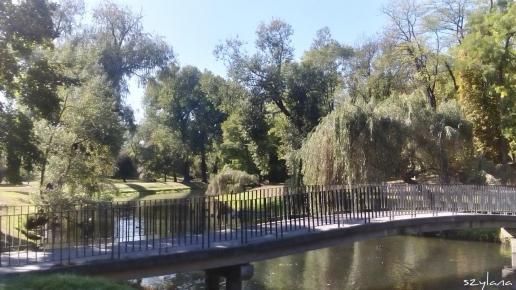 , szylana