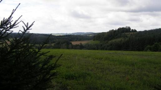 U Pana Tadeusza, Joanna