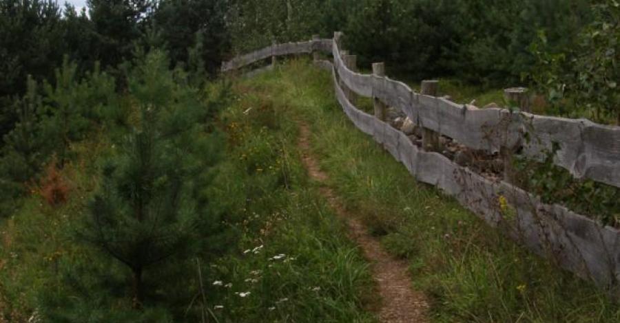 Dzień 2 – Pierwsza wycieczka. Turtul-Błaskowizna - zdjęcie