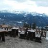 , mokunka
