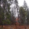 , Aragonit