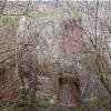 , Aragonit